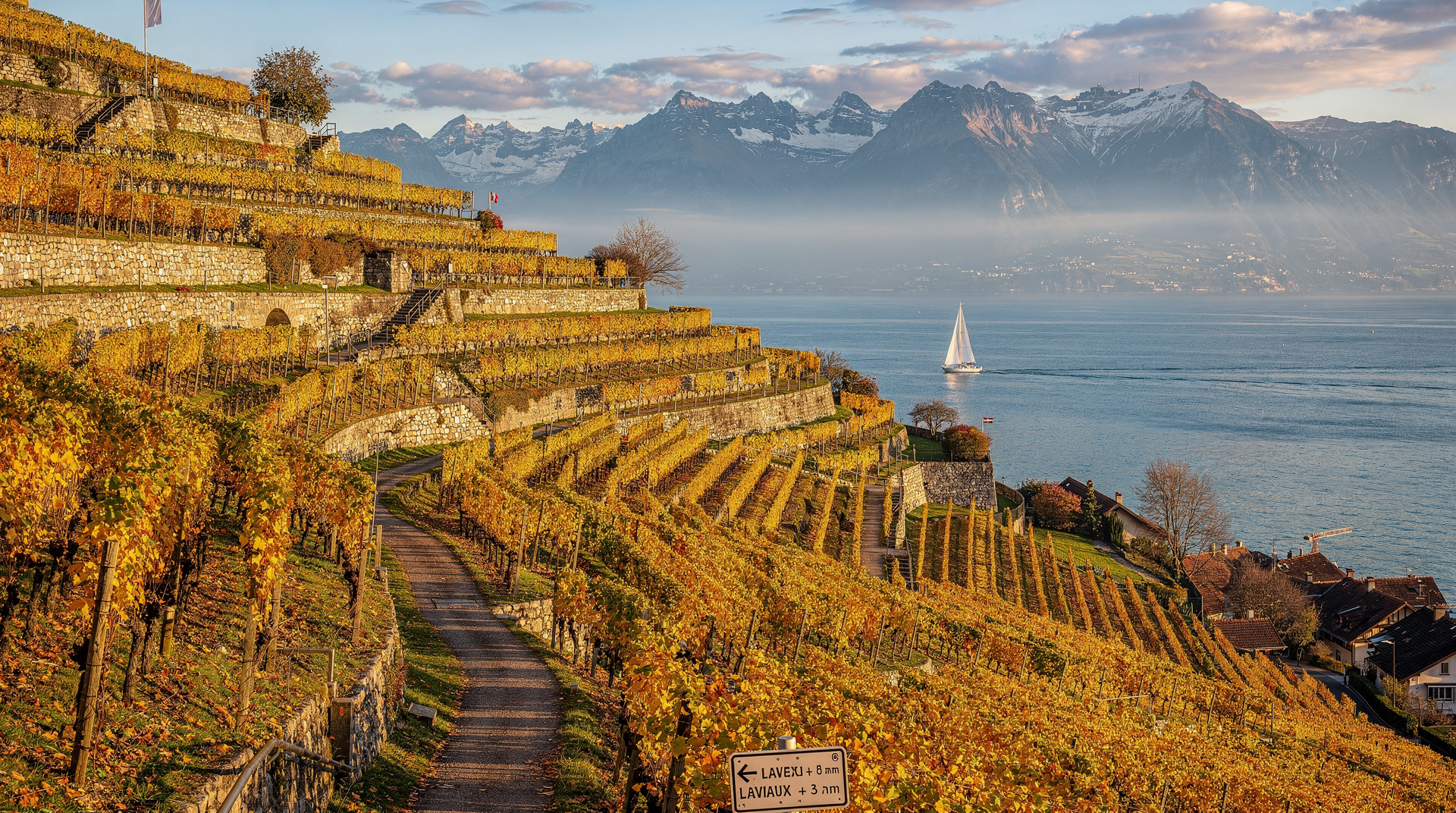 De Genève au Lavaux : guide d'excursion (promenade viticole UNESCO)