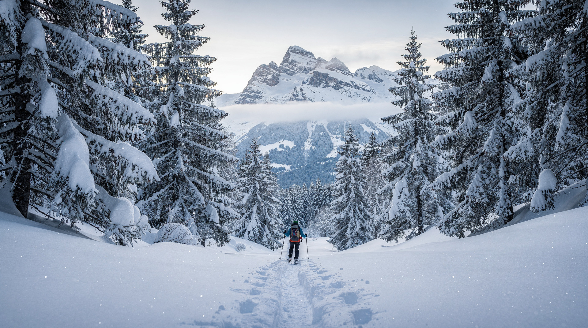 Snowshoeing in Switzerland: trails, tips, and guided tours