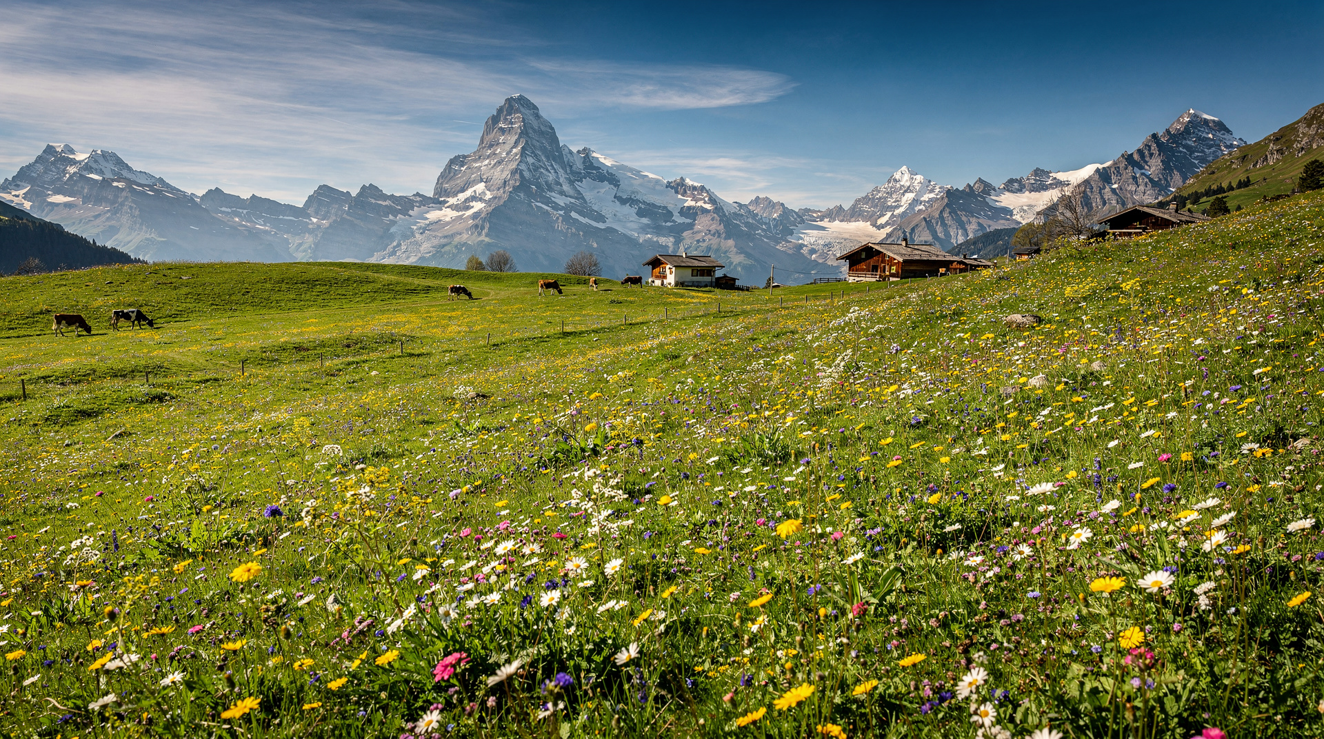 Switzerland in May: weather, activities, and tips