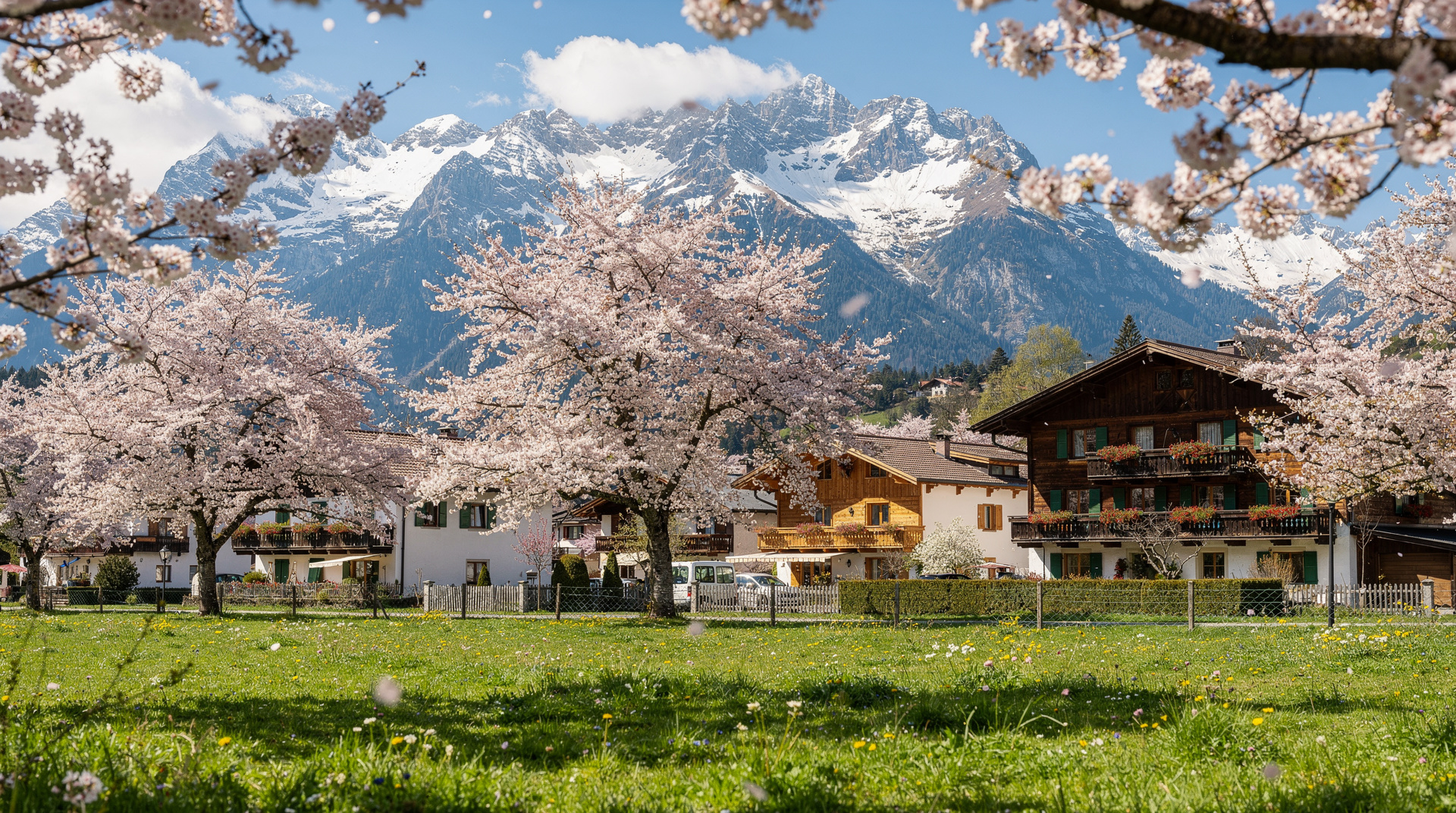 Switzerland in spring: weather, activities, and tips